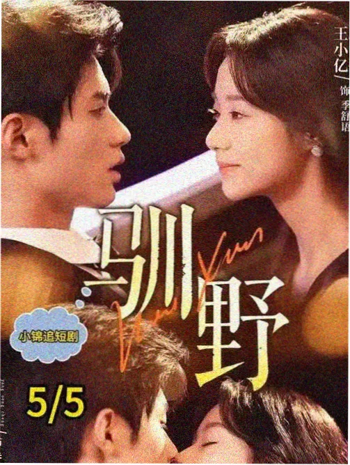 哔哩哔哩视频番剧铁轨上的夏天封面